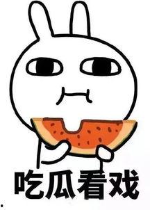 娱乐吃瓜酱工资