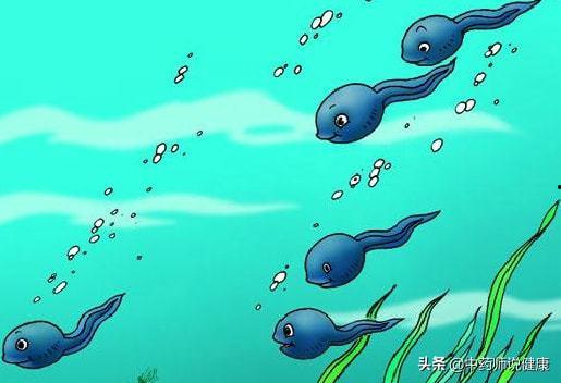 蝌蚪视频,探索生命奥秘的奇妙之旅